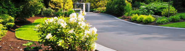 Landscaping & Hardscaping